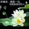 刀歌歌的头像