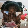 东方人的头像