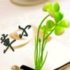 小草的头像
