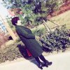 彩菊东篱下！13150187046的头像