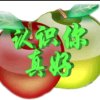 迷途的头像