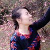 春花秋月的头像