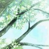 挚爱的头像