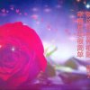 相知相惜（不听勿评）的头像