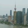 无忧无虑的头像