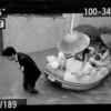太子苗的头像