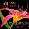 珍惜你我的头像