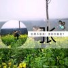 单身贵族的头像