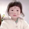 小毛的头像
