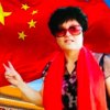 金凤凰的头像