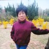 于淑欣的头像