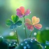 高山流水(拒私信)的头像