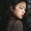 落羽星辰的头像