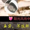 阳光风雨中。的头像
