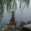 花辰月夕的头像