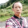 步步高的头像