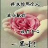梦儿的头像