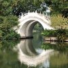 海鸥的头像