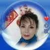 心玫的头像