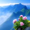 小雨滴的头像