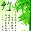 顺其自然的头像