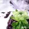 未来的头像