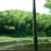 风的头像