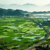 杨·LP的头像