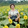 杨小娟的头像