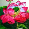 梦之蓝的头像