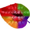 小小的头像