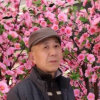 平哥的头像