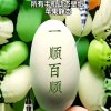 《退》的头像