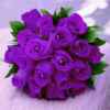 紫色花的头像