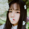 Amila的头像