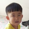 桂花的头像