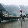 淡定的头像