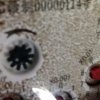 幸福发财的头像
