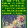 伤一颗心，错一段情的头像