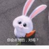 夏日阳光的头像