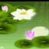春的头像