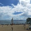 燕子的头像