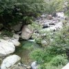 山青水秀的头像