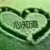 我随心动的头像