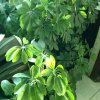天涯《退出》的头像