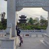 燕子的头像