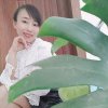 如意的头像