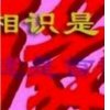 奋斗人生的头像