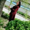 四方菊花满园的头像