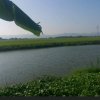 高峰的头像